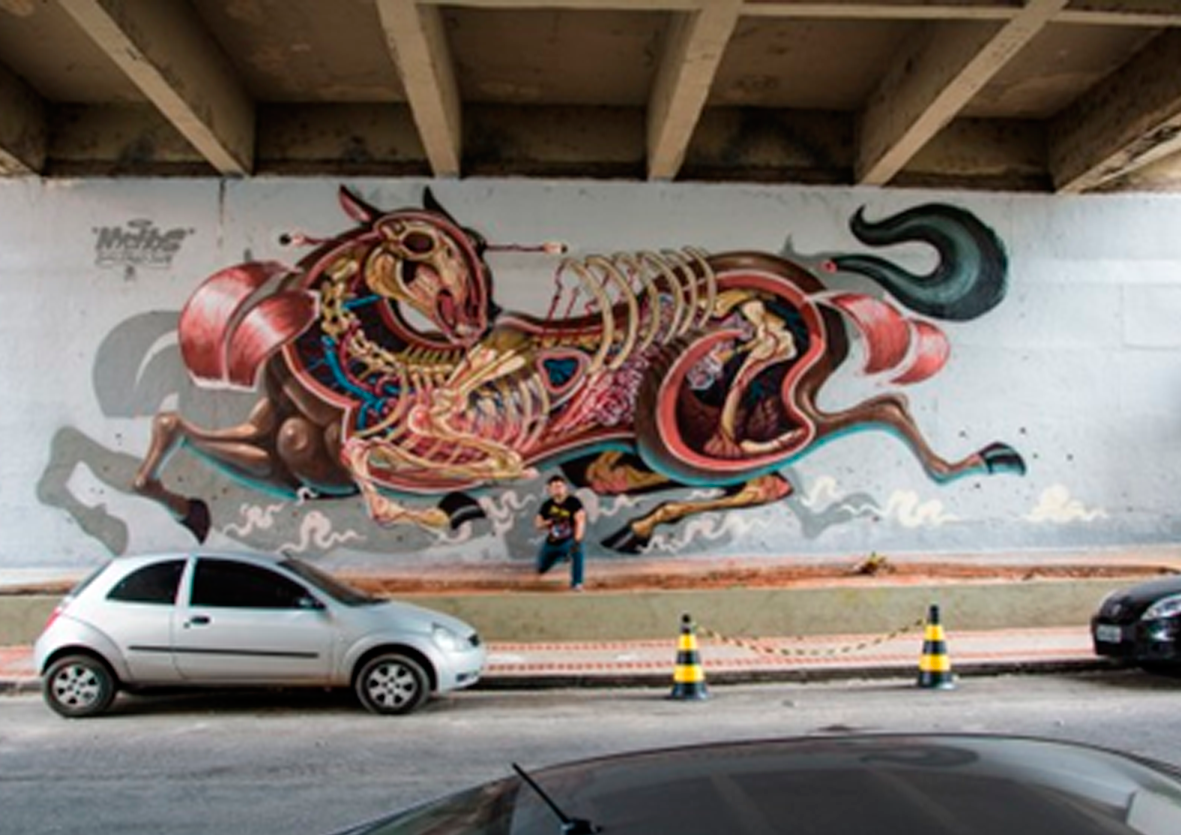 http://nychos.com